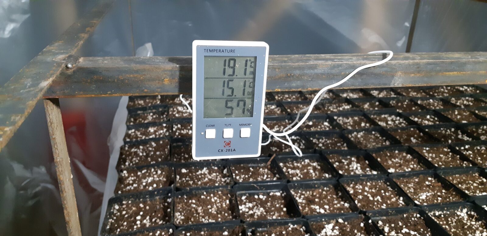 Контроль температуры в горжках с корнями ежевики