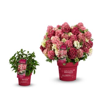 Граундбрейкер Руби (Groundbreaker Ruby) (ЗКС) Граундбрейкер Руби (Groundbreaker Ruby) (ЗКС)