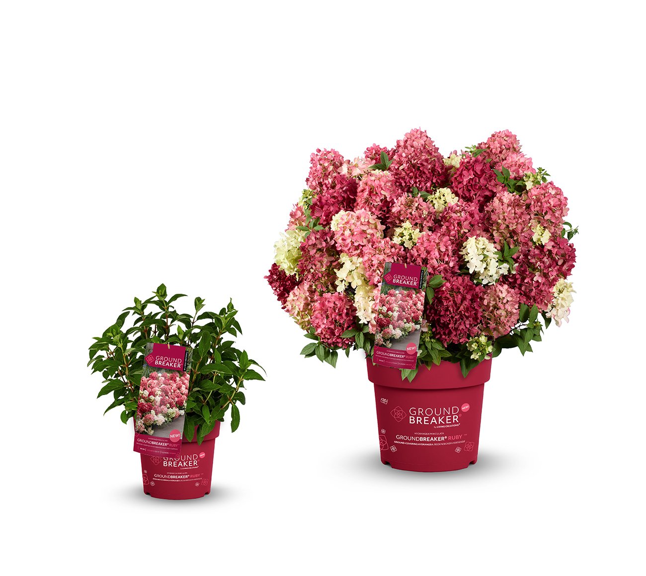 Граундбрейкер Руби (Groundbreaker Ruby) (ЗКС) Граундбрейкер Руби (Groundbreaker Ruby) (ЗКС)